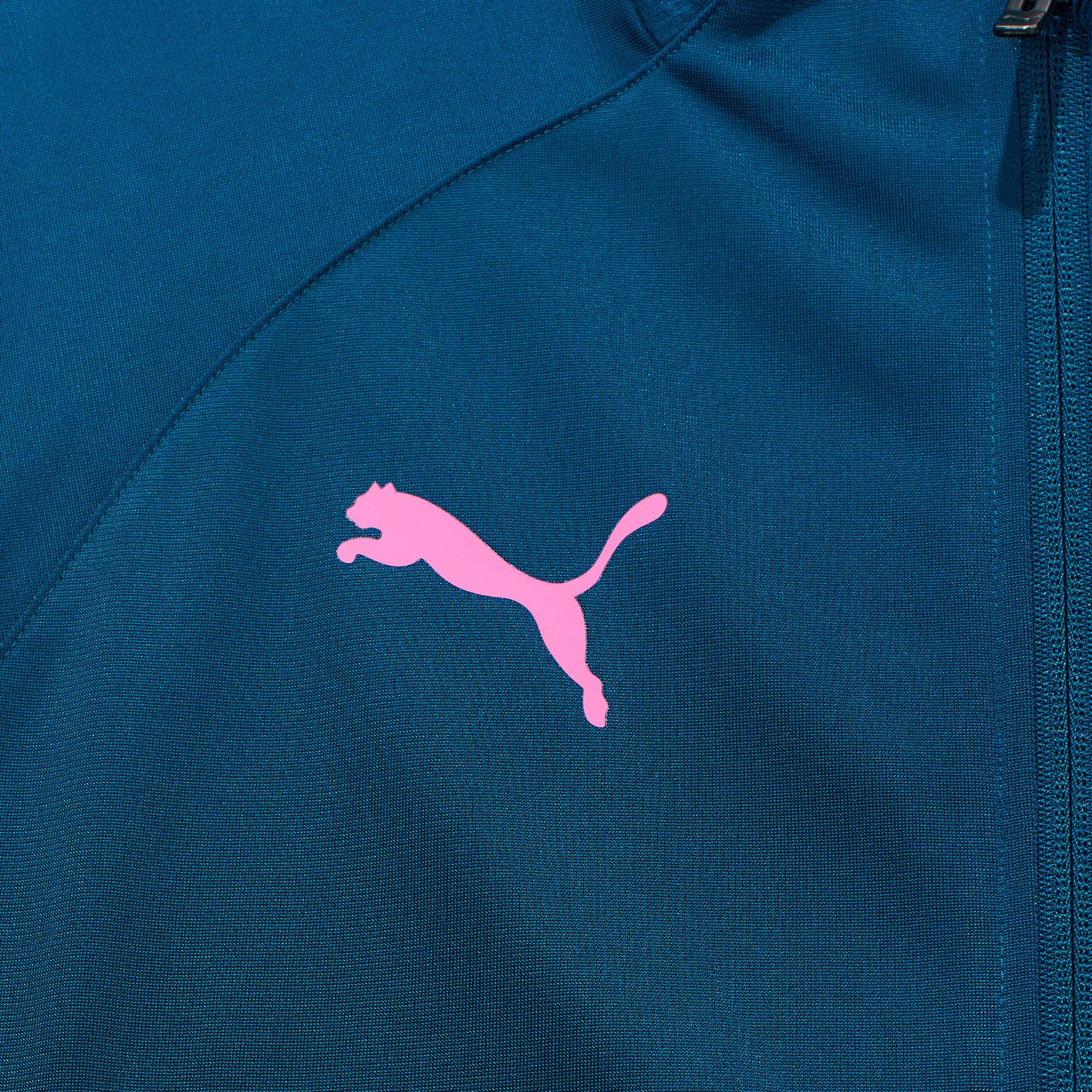 Костюм спортивный Puma Teamliga 65852556