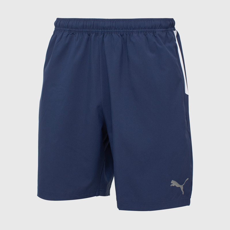 Шорты Puma Teamliga Sideline 65726306