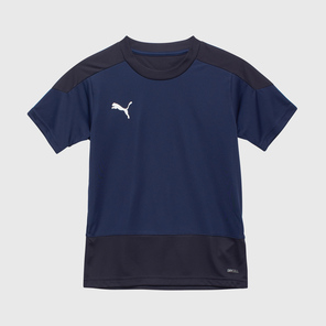 Футболка игровая подростковая Puma Teamgoal 23 65656906