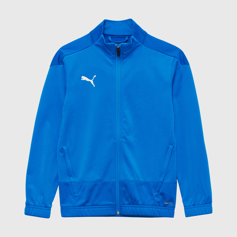 Олимпийка подростковая Puma Teamgoal 23 65657002