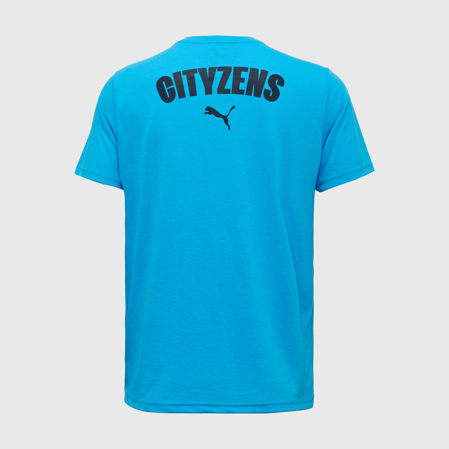 Футболка Puma Manchester City Casuals Tee 77756931