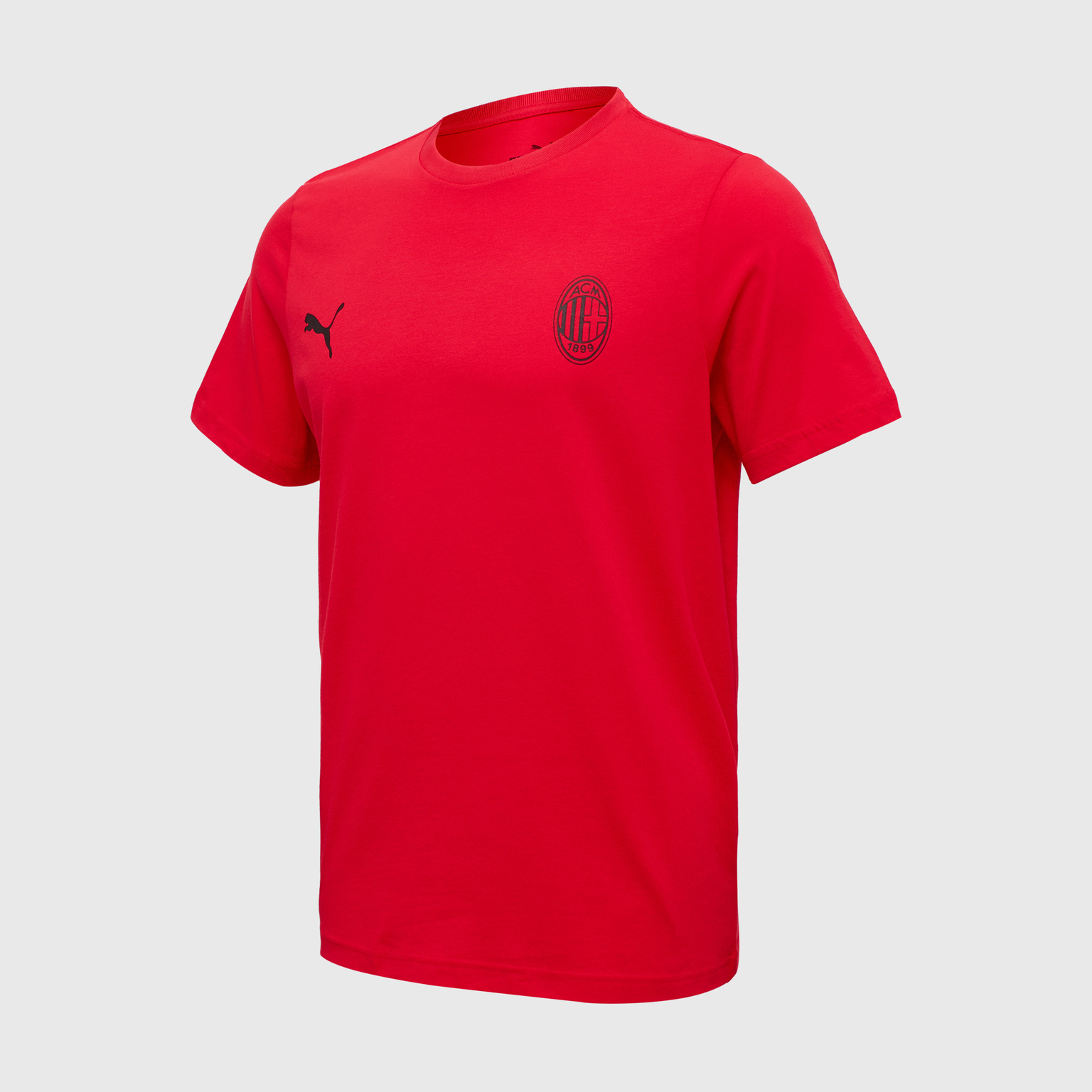 Футболка Puma Milan Ess 77766901