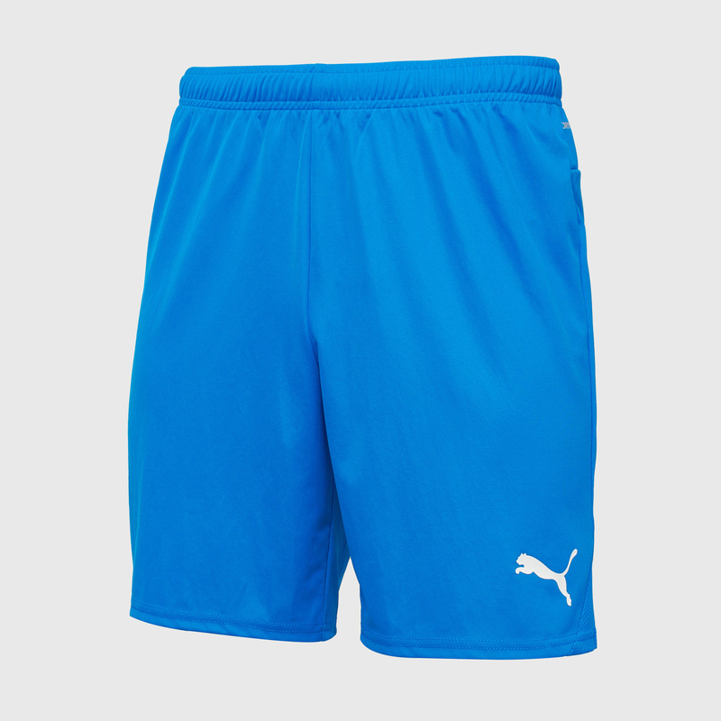 Шорты игровые Puma Teamgoal 70575202