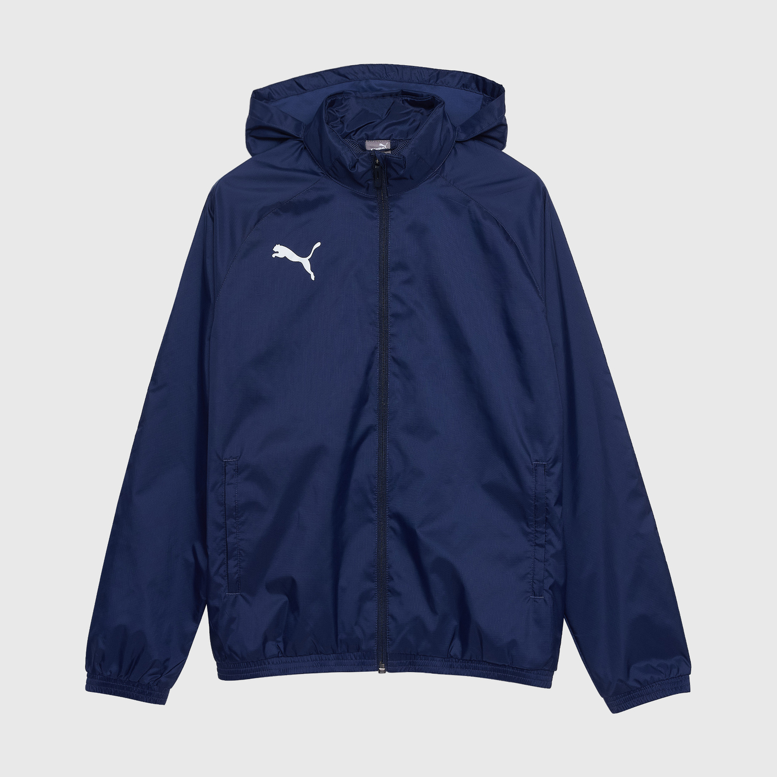 Ветровка подростковая Puma Teamgoal All Weather 65904506