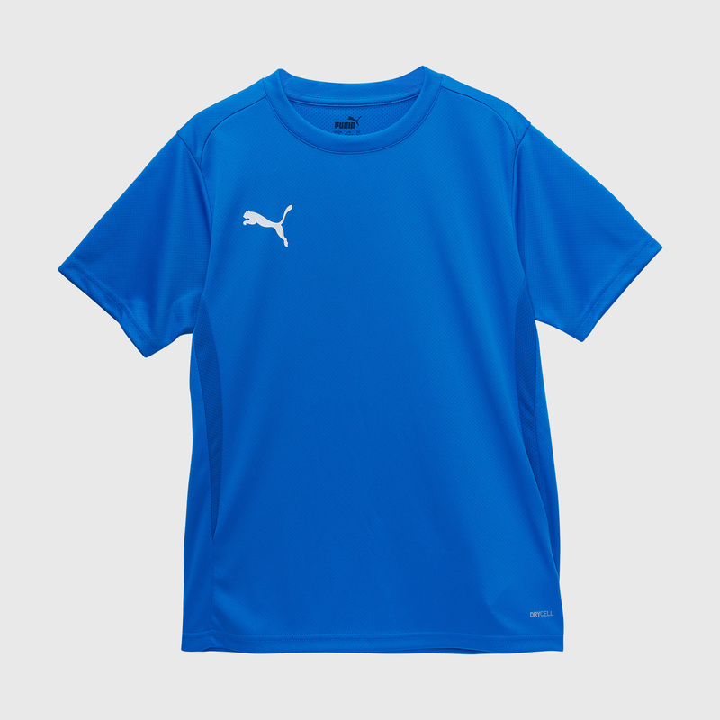 Футболка тренировочная подростковая Puma Teamgoal 65863702