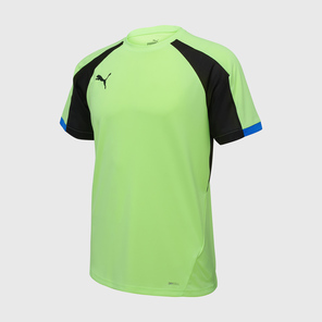 Футболка тренировочная Puma Individualliga 65952602