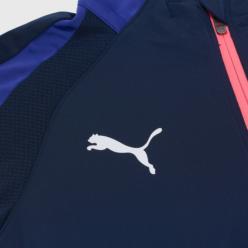 Костюм спортивный Puma Individualliga 65952201