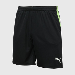 Puma liga shorts xxl best sale