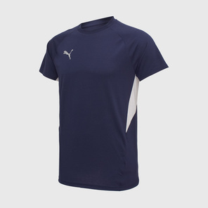 Футболка Puma Teamevostripe Tee 65995306